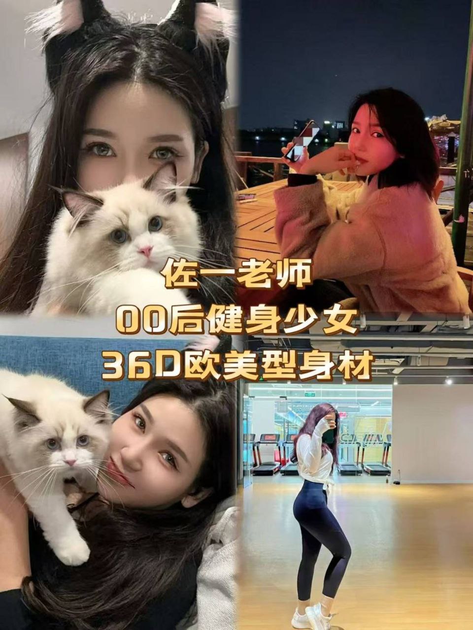 樱花抓龙筋